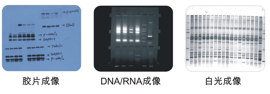 维多利亚老品牌优惠大厅JS-2000应用范围